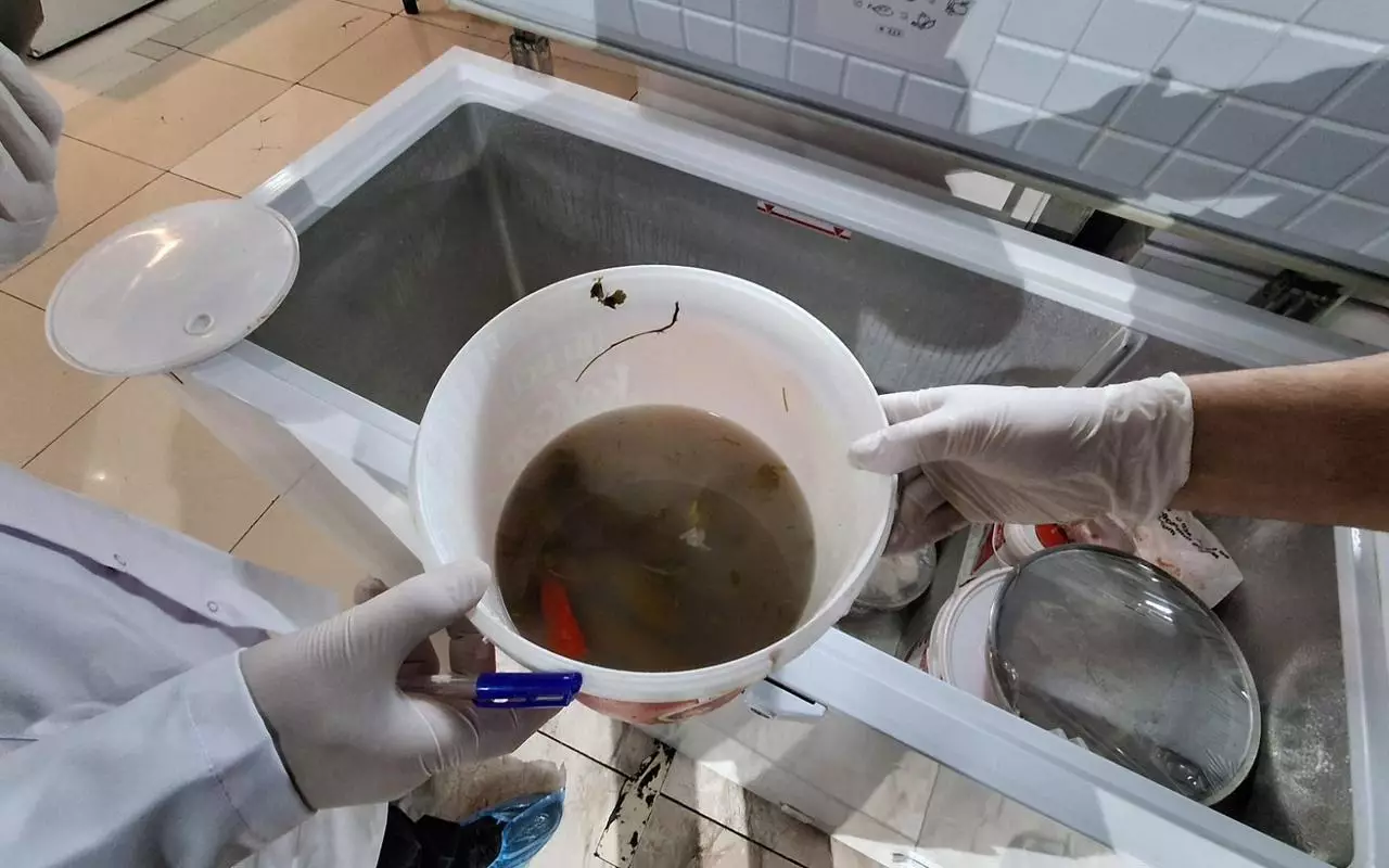 Naxçıvanın məşhur restoranında ciddi nöqsanlar aşkarlandı - FOTO - Foto 20