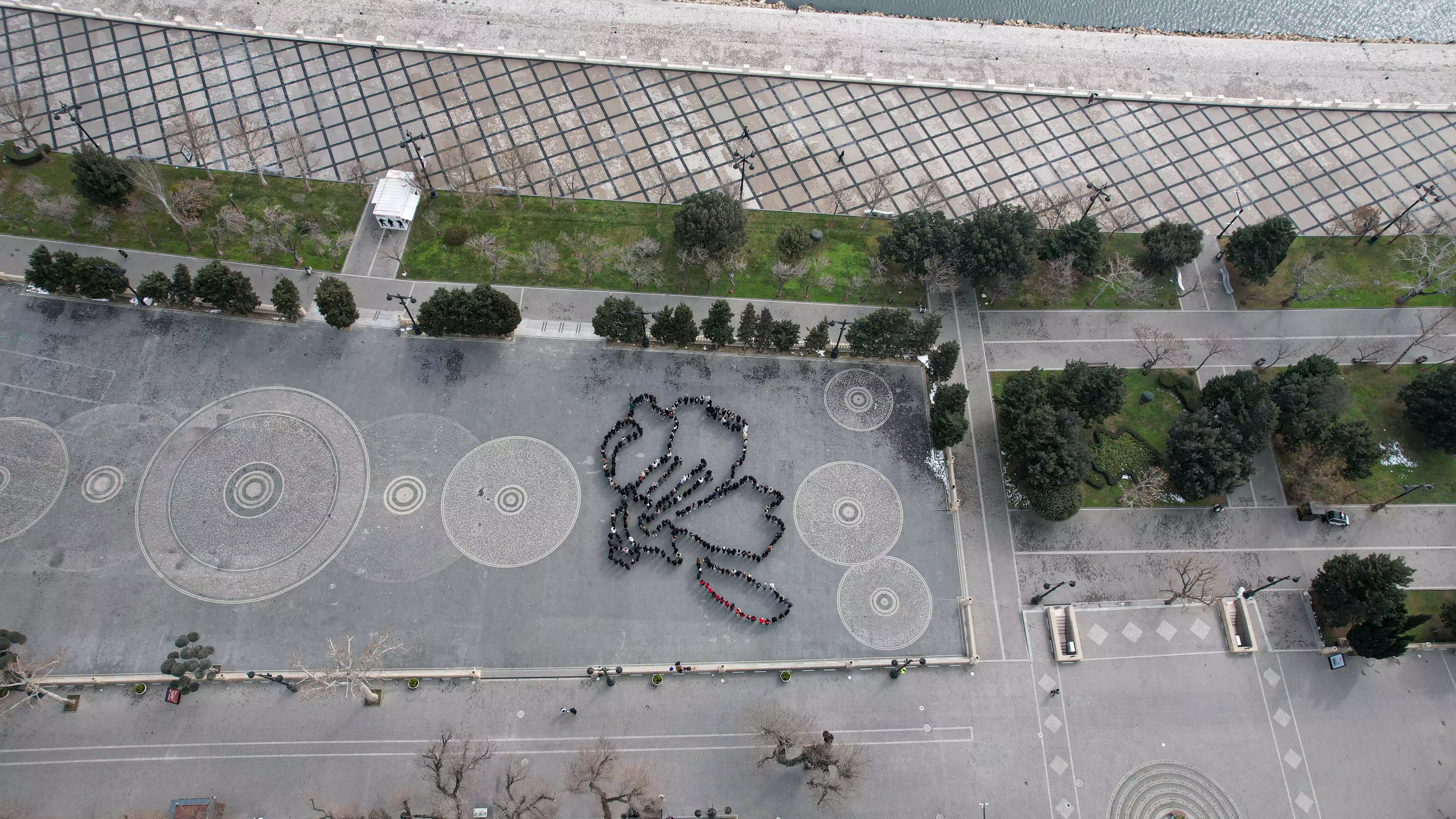 Azərbaycan Könüllülərinin iştirakı ilə “Xocalı 33 il” fləşmobu keçirilib - FOTO - Foto 5