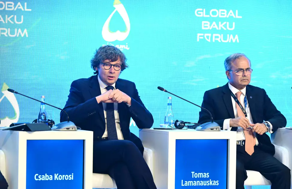 Bakı Forumunda panel müzakirəsi: “Gələcək üçün BMT paktı: Yeni qlobal konsensusun yaradılması” - FOTO - Foto 4