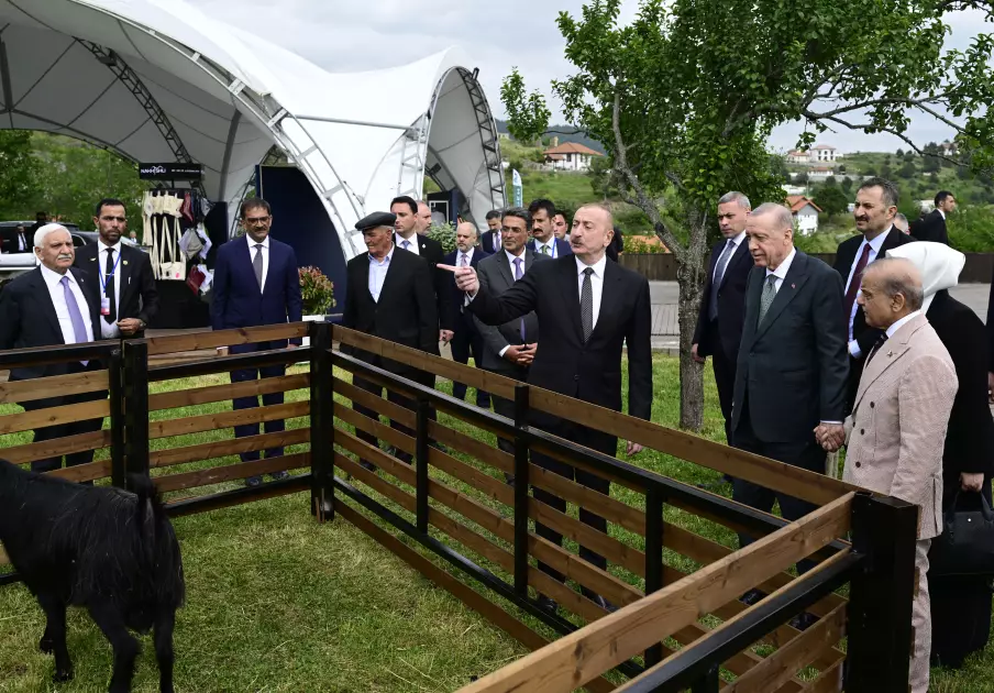 Azərbaycan və Türkiyə prezidentləri, Pakistanın Baş naziri Laçın şəhərində seyrəngahda olublar - FOTO - Foto 12
