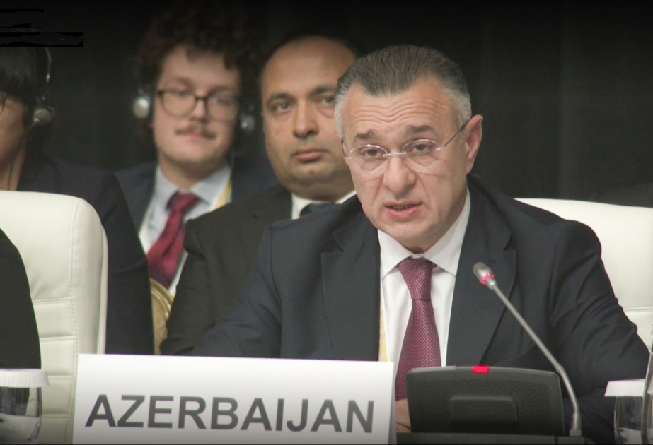 Azərbaycanlı nazir Fransa və Ermənistan nümayəndələrinin əsassız ittihamlarına cavab verib