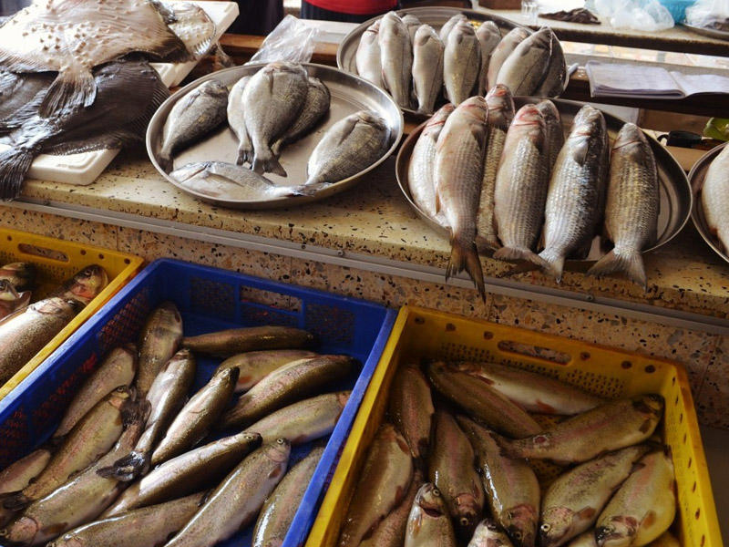 Bazarlarda yerli balıq tapılmır - VİDEO