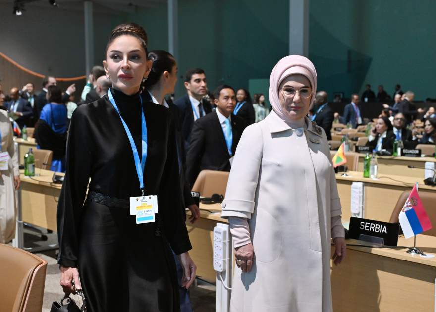 Mehriban Əliyeva COP29 çərçivəsində təşkil olunan konfransdan görüntülər paylaşıb  - YENİLƏNİB+VİDEO