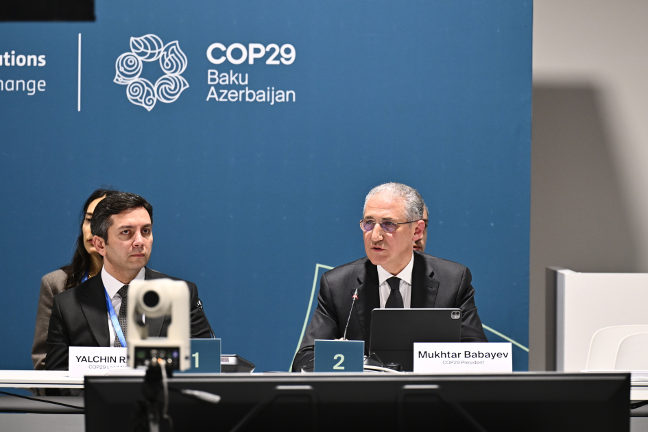 COP29 çərçivəsində iqlim maliyyələşdirilməsi imkanlarına həsr olunmuş yüksəksəviyyəli dəyirmi masa təşkil olunub - FOTO