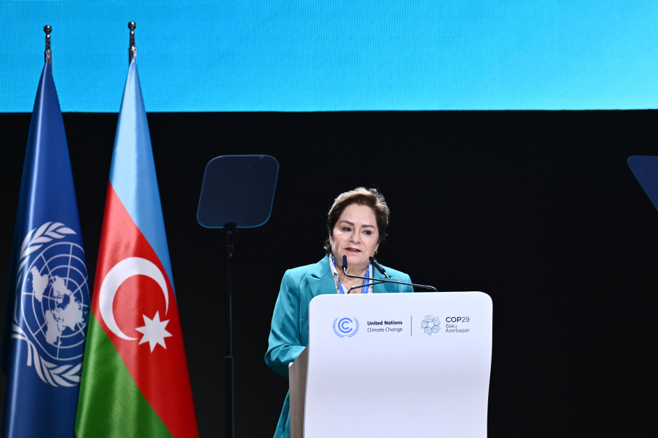 Azərbaycan, Çin və ABŞ istixana qazlarına həsr olunmuş plenar iclas keçirib - FOTO