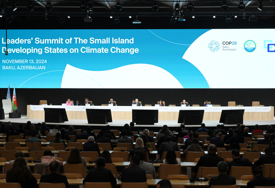 Dünya liderləri COP29-la bağlı hansı sözləri dedilər