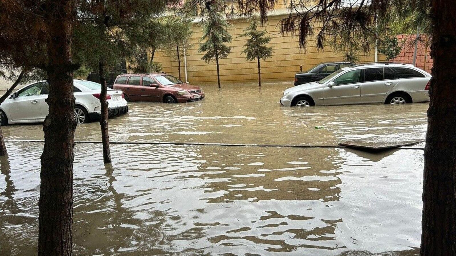 Normadan artıq yağan yağışlar kənd təsərrüfatı məhsullarının qıtlığına səbəb olacaq? – AÇIQLAMA