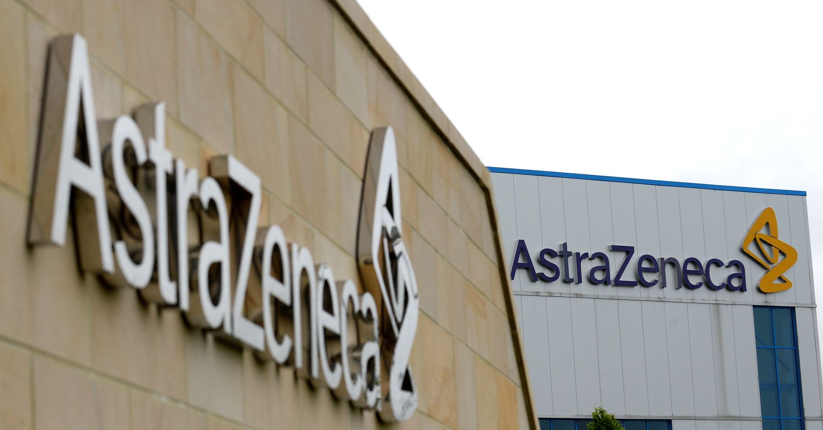 Məşhur əczaçılıq şirkəti gəlirini 18% artırdı