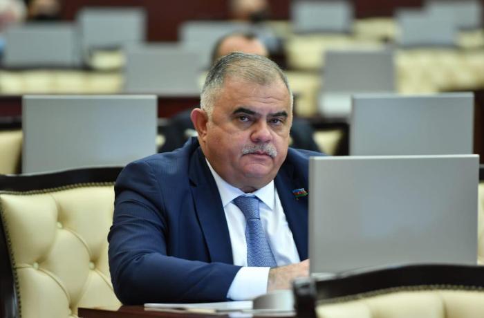 Deputat: “COP29-un nəticələrinə uyğun olaraq dünyanı narahat edən məsələlər istiqamətində ciddi addımlar atılacaq”