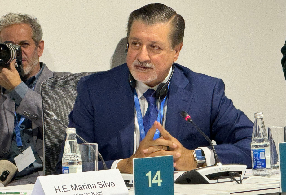 COP28-in baş icraçı direktoru: Gözləntilərimiz 2030-cu ilə qədər emissiyaları 43% azaltmaqdır