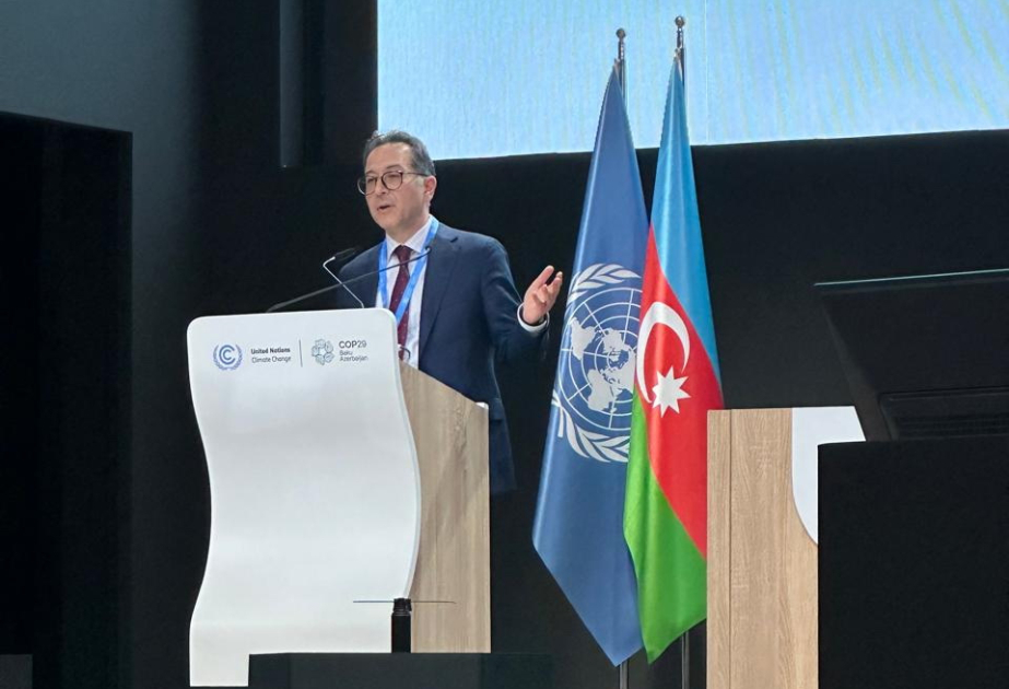 COP29-da SOCAR-ın fəaliyyəti barədə məlumat verilib