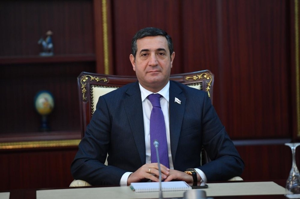 Mahir Abbaszadənin rəhbərlik etdiyi fondda yoxlama aparılacaq