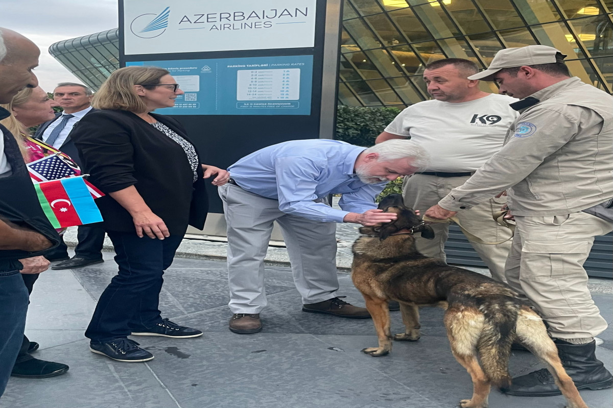 ABŞ Azərbaycana daha iki minaaxtaran it göndərdi - FOTO