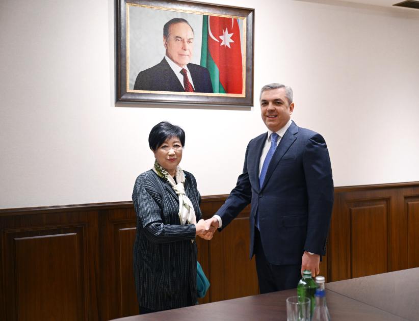 Prezident Administrasiyasının rəhbəri Tokionun qubernatorunun başçılıq etdiyi nümayəndə heyəti ilə görüşüb