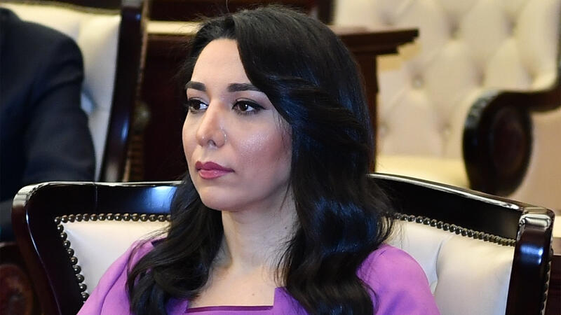 Səbinə Əliyeva: “Ombudsmanlar iqlim dəyişikliklərinə qarşı həssas qrupların hüquqlarını qoruması sahəsində mühüm rola malikdirlər”