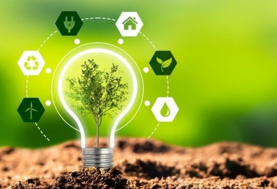 CO29 çərçivəsində azərbaycanın “yaşıl iqtisadiyyat” ölkəsinə çevrilməkdə olduğu bütün dünyaya nümayiş olunacaq