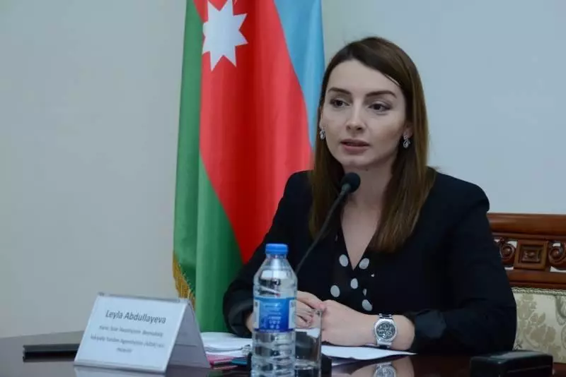 Leyla Abdullayeva: “Regionumuzda vəziyyəti pozmaq əvəzinə sülhə kömək edin”