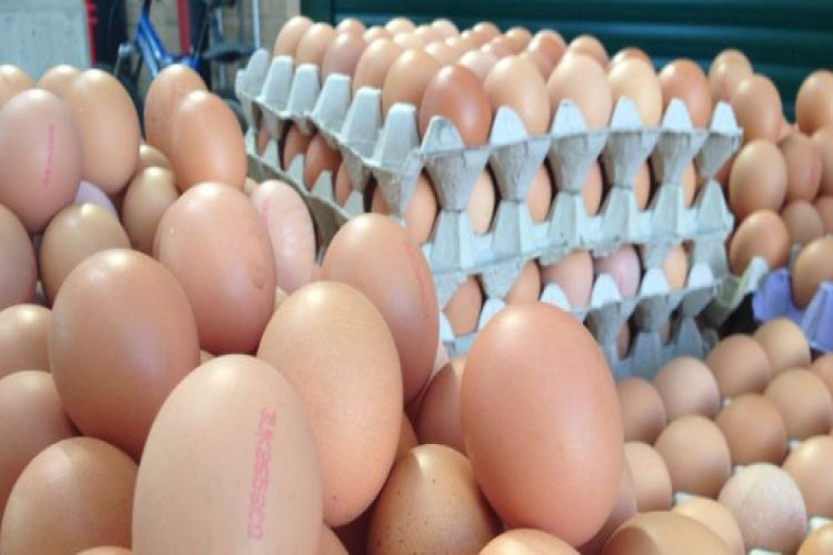 Rusiya Azərbaycandan idxal edilən yumurtanın qiyməti ucuzlaşdıracağına ümid edir
