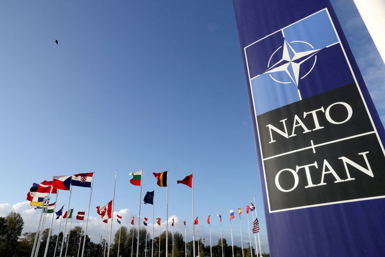 NATO-nun iri hərbi təlimləri başlayıb