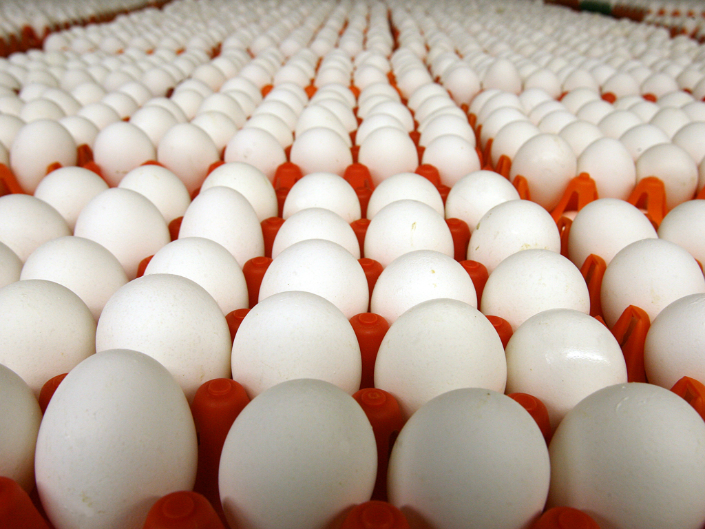 Azərbaycan Rusiyaya 2,1 milyon yumurta tədarük edib