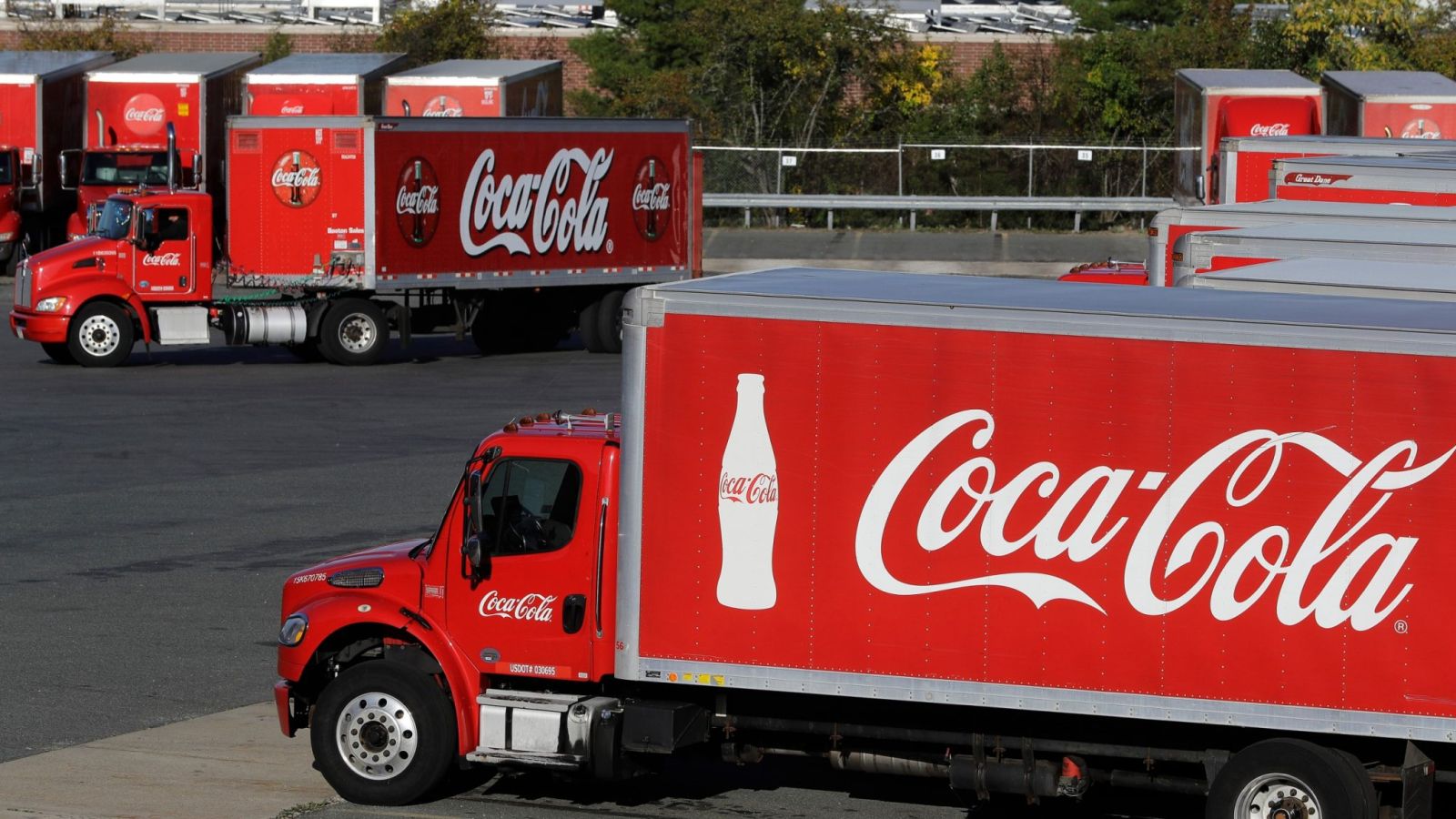 "Coca-Cola"nın qazancı 5% azaldı