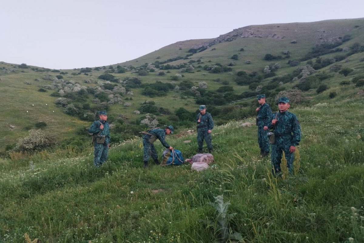 Azərbaycana 28 kq narkotik keçirilməsinin qarşısı alındı - FOTO