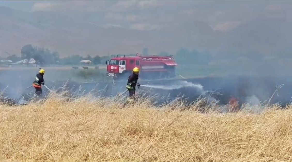 Sədərək rayonunda taxıl sahəsi yandı - FOTO