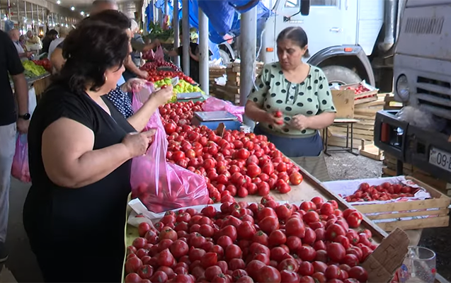 Yayın istisində 3 manata pomidor olar? - VİDEO