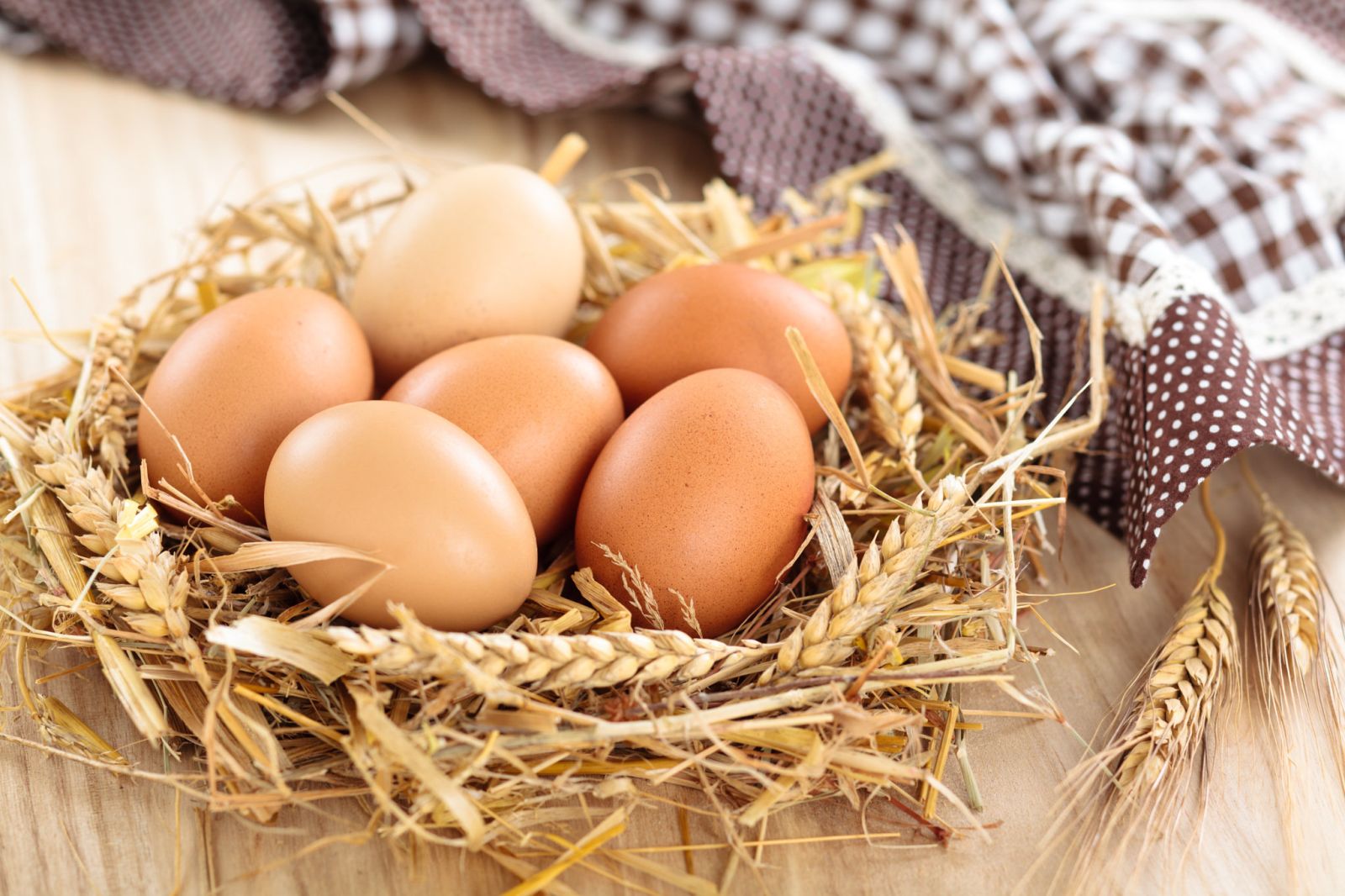 Dünyada ən çox yumurta istehsal edən ölkələr – TOP 10